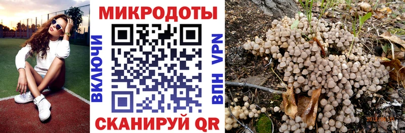 Псилоцибиновые грибы Magic Shrooms  Лаишево 